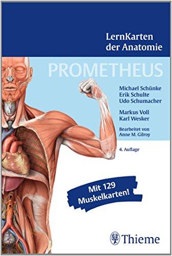 PROMETHEUS LernKarten der Anatomie