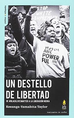 UN DESTELLO DE LIBERTAD: DE #BLACKLIVESMATTER A LA LIBERACION NEGRA (PRACTICAS CONSTITUYENTES, Band 16)