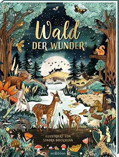 Wald der Wunder: Bilderbuch mit magischen Illustrationen, Tiere im Lauf des Tages im Wald, ab 3 Jahren