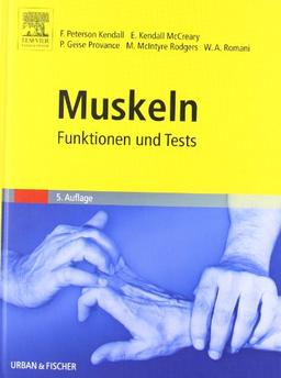 Muskeln: Funktionen und Tests