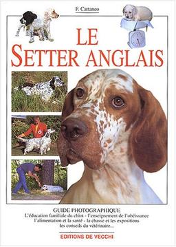 Le setter anglais