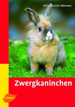 Zwergkaninchen