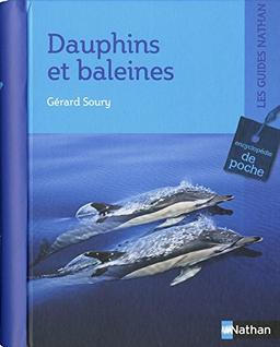 Dauphins et baleines