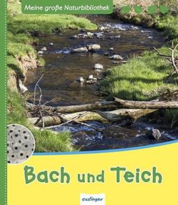 Meine große Naturbibliothek: Bach und Teich