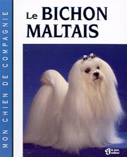 Le bichon maltais