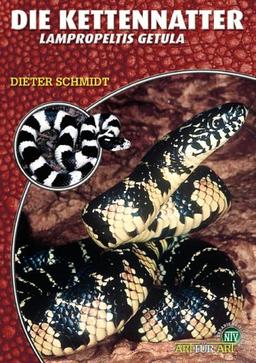 Die Kettennatter: Lampropeltis getula