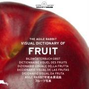 The agile rabbit visual dictionary of fruits