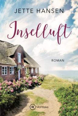 Inselluft (Stürmische Zeiten auf Föhr, Band 1)