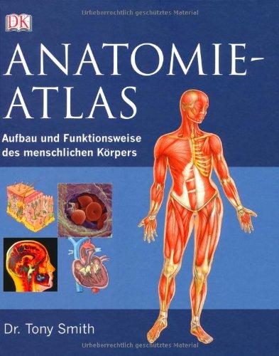 Anatomie-Atlas: Aufbau und Funktionsweise des menschlichen Körpers