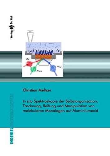 In situ Spektroskopie der Selbstorganisation, Trocknung, Reifung und Manipulation von molekularen Monolagen auf Aluminiumoxid (Ingenieurwissenschaften)