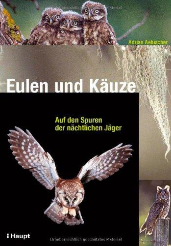 Eulen und Käuze: Auf den Spuren der nächtlichen Jäger