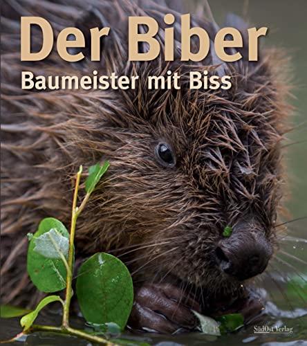 Der Biber: Baumeister mit Biss