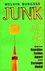 Junk (Puffin Teenage Fiction S.)