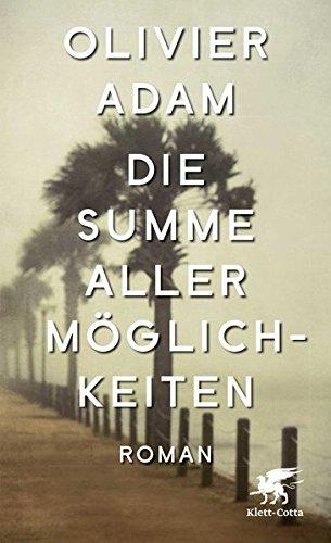 Die Summe aller Möglichkeiten: Roman