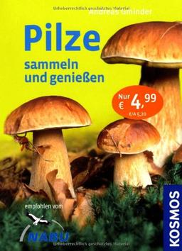 Pilze sammeln und genießen