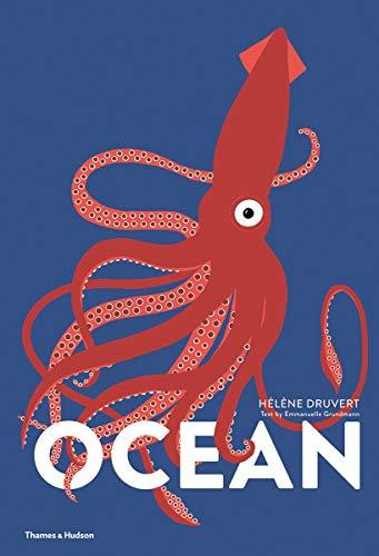 Ocean (Lift the Flap Book)