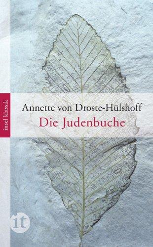 Die Judenbuche: Ein Sittengemälde aus dem gebirgichten Westfalen (insel taschenbuch)