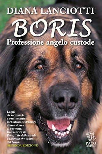 Boris. Professione angelo custode