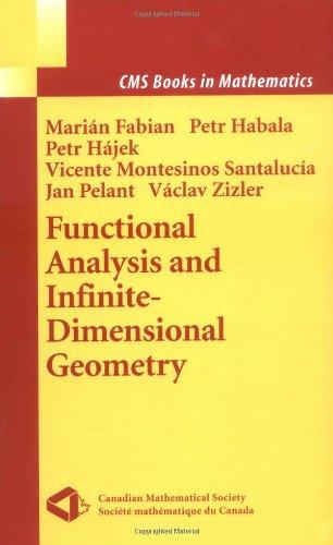 Functional Analysis and Infinite-Dimensional Geometry (CMS Books in Mathematics)