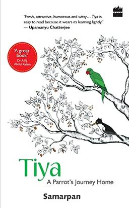 Tiya: A Parrot's Journey Home