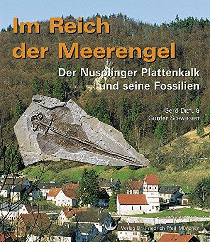 Im Reich der Meerengel: Der Nusplinger Plattenkalk und seine Fossilien