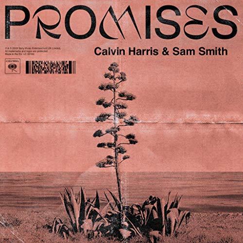 Promises [Vinyl Maxi-Single]