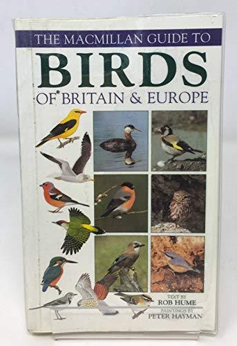 Macmillan Bird Guide (Ted Smart)