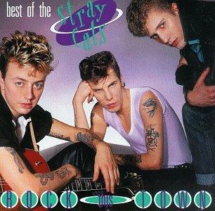 Best Of Stray Cats