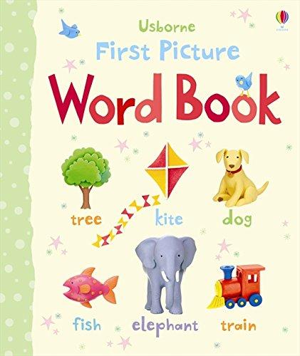 First Picture Word Book (First Picture Books)