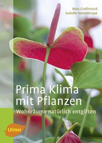 Prima Klima mit Pflanzen: Wohnräume natürlich entgiften