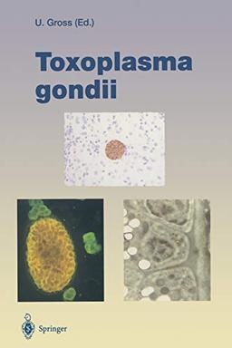 Toxoplasma gondii (Current Topics in Microbiology and Immunology) (Current Topics in Microbiology and Immunology, 219, Band 219)