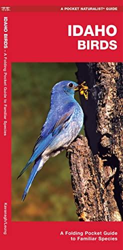 Idaho Birds: A Folding Pocket Guide to Familiar Species (Pocket Naturalist Guide Series)