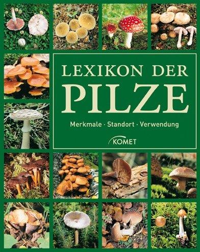 Lexikon der Pilze: Merkmale, Standort, Verwendung