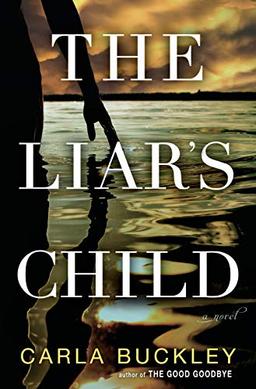 The Liar's Child: A Novel