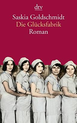 Die Glücksfabrik (dtv Literatur)