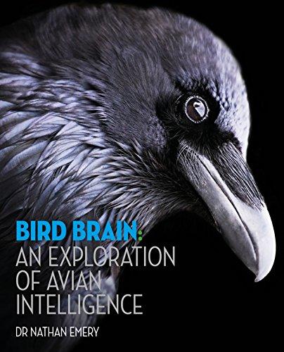 Bird Brain: An exploration of avian intelligence