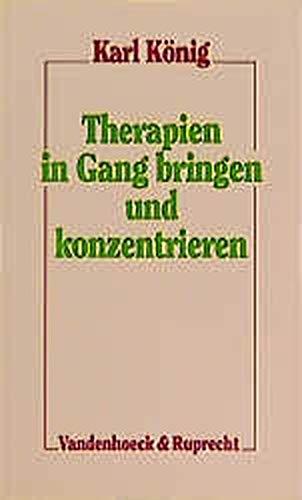 Therapien in Gang bringen und konzentrieren (Bensheimer Hefte)