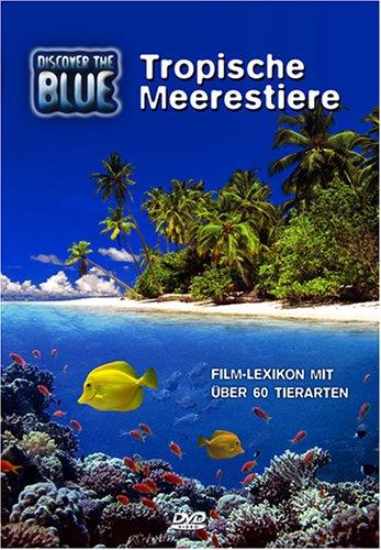 Discover The Blue - Tropische Meerestiere