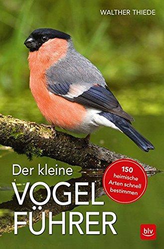 Der kleine Vogelführer