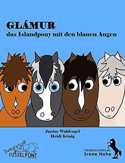 Glámur, das Islandpony mit den blauen Augen: Jump ´n roll Fusselpony