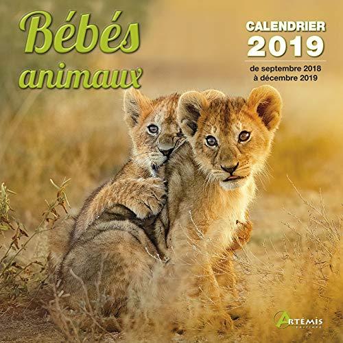 Bébés animaux : calendrier 2019 : de septembre 2018 à décembre 2019