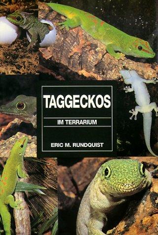 Taggeckos im Terrarium