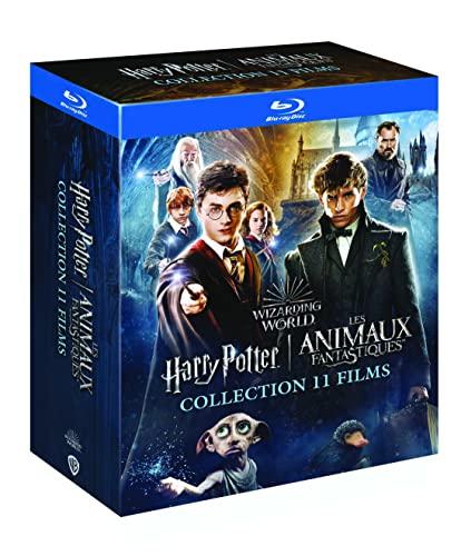 Wizarding world : harry potter 1 à 7.2 + les animaux fantastiques 1 à 3 [Blu-ray] [FR Import]