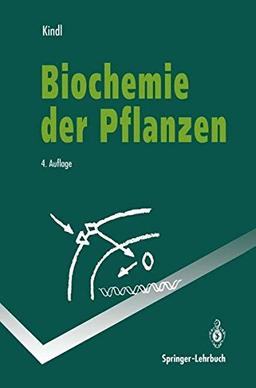 Biochemie der Pflanzen (Springer-Lehrbuch)