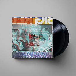 How Long Do You Think It'S Gonna Last? [Vinyl LP]