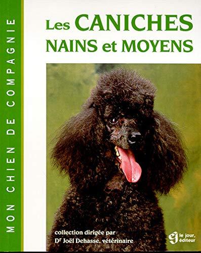 CANICHES NAINS ET MOYENS