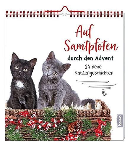 Auf Samtpfoten durch den Advent: 24 neue Katzengeschichten