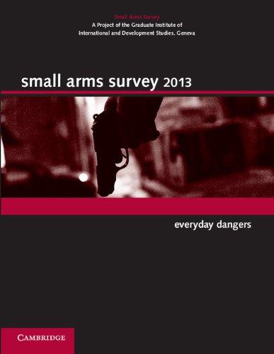 Small Arms Survey 2013: Everyday Dangers