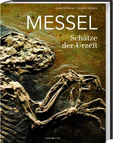 Messel: Schätze der Urzeit