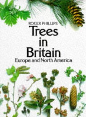 Trees in Britain, Europe and North America